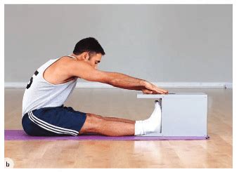 How to test flexibility and balance .